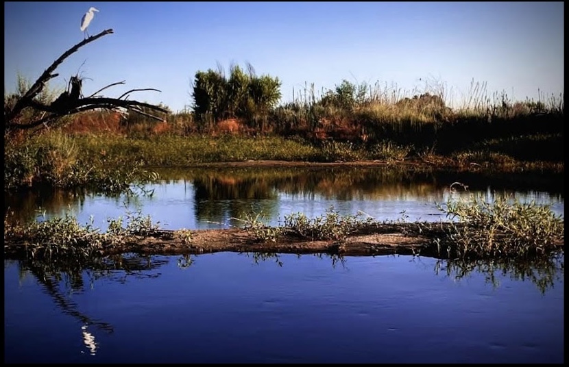 Low Water Reflections — Nashville, Tennessee