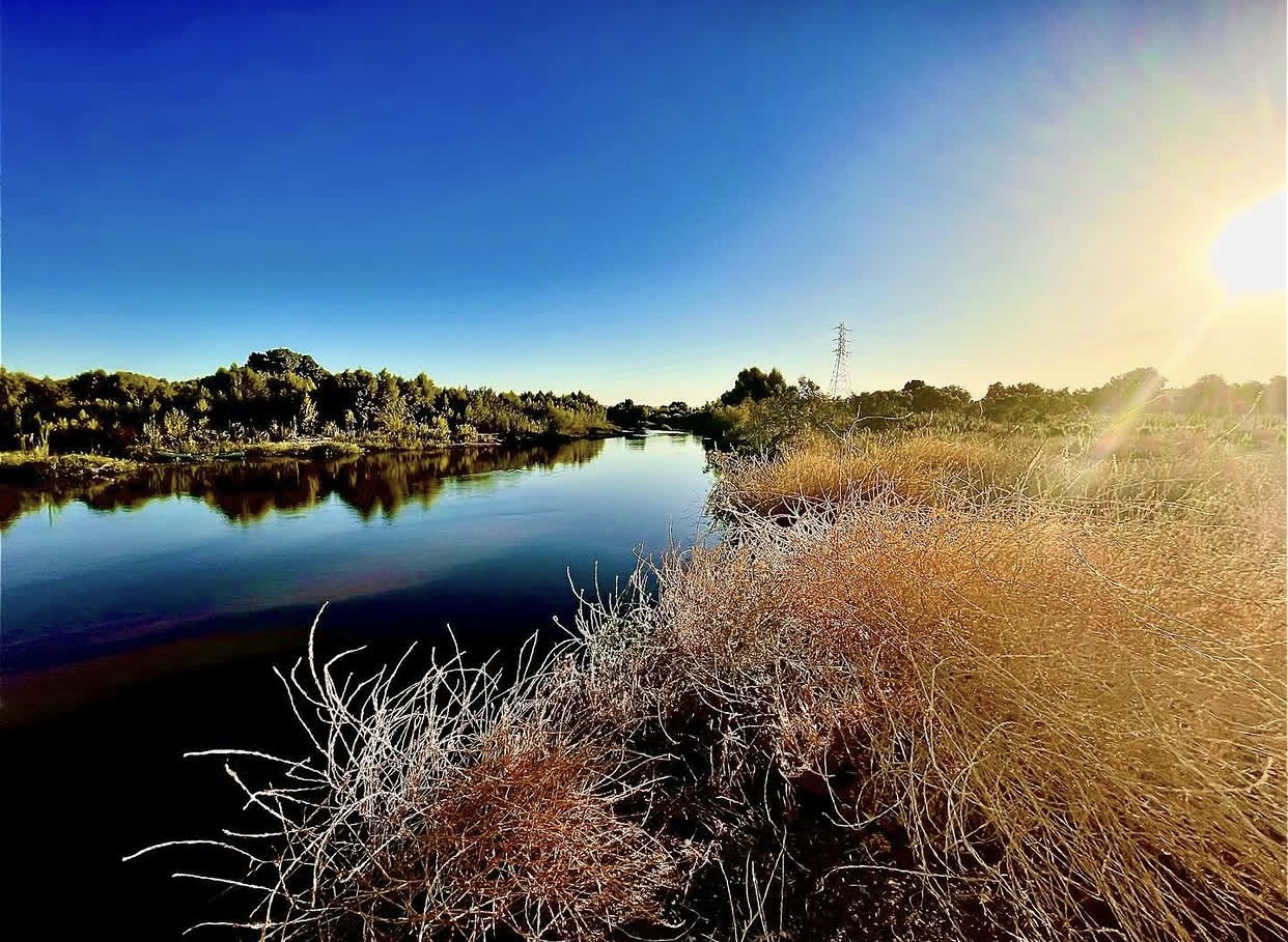 Golden Bend — Nashville, Tennessee