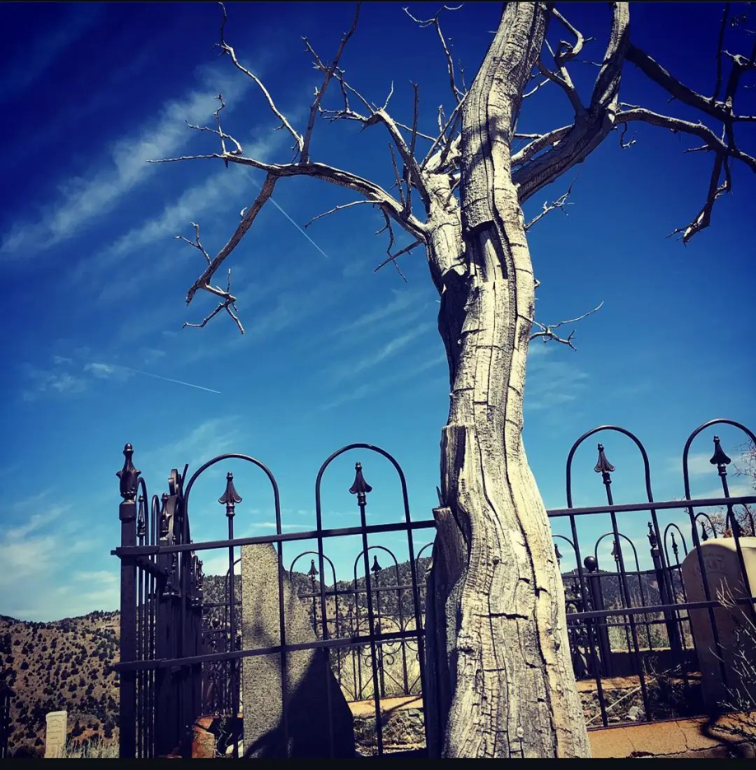 Iron and Deadwood — Nashville, Tennessee